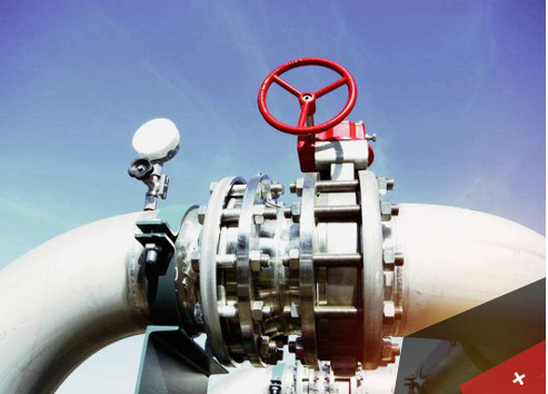 亞一雞精 演繹美好生活變革